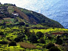 20160120151521_536609_6_san_anton_garden_hn_pic
