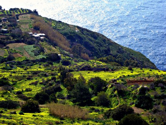 【混載ツアー】中世の古都イムディーナ 午前半日観光＜英語／火曜・金曜日催行／マルタ発＞