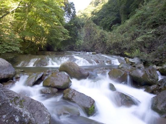 貸切観光タクシー　諏訪地方をプライベート観光！ご希望にあわせて選べる豊富なコース＜1時間～／1-9名／諏訪交通／諏訪市・茅野市・岡谷市・下諏訪町発＞
