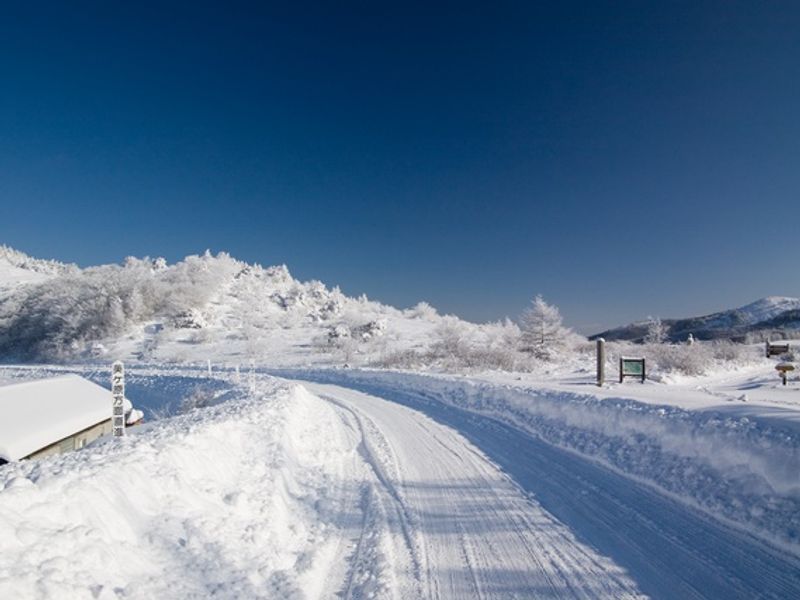 ビーナスライン
