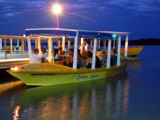 神秘の世界へようこそ　ルミノスラグーン＜3時間／英語ガイド/モンテゴベイ発＞