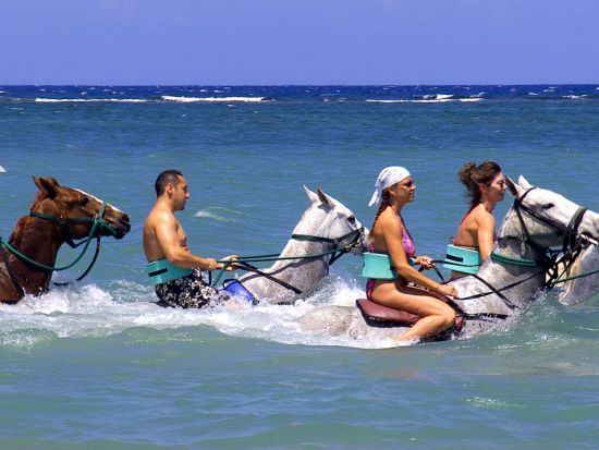 ビーチ＆マウンテン乗馬体験ツアー＜英語ガイド／モンテゴベイ発・オーチョリオス発＞