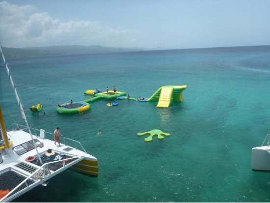 ドクターケーブビーチ発 ディクルーズ＆シュノーケリングツアー＜英語ガイド／モンテゴベイ発＞