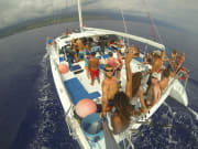 Hawaii_Big Island_Sea Paradise_Kealakekua Snorkel