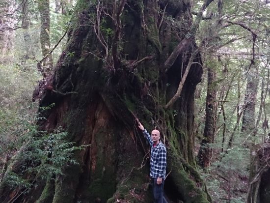 白谷雲水峡1日（太鼓岩まで）トレッキングツアー ＜昼食込＞ by Go!Yakushima