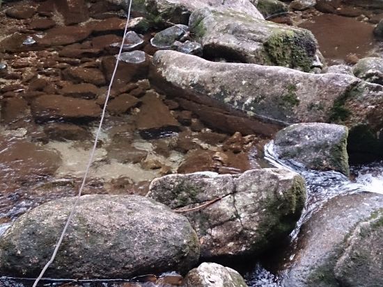 白谷雲水峡1日（太鼓岩まで）トレッキングツアー ＜昼食込＞ by Go!Yakushima