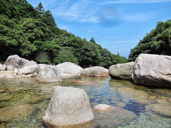 1日島内観光ツアー 屋久島のおすすめスポットを1日で訪れる ＜昼食込＞ by Go!Yakushima