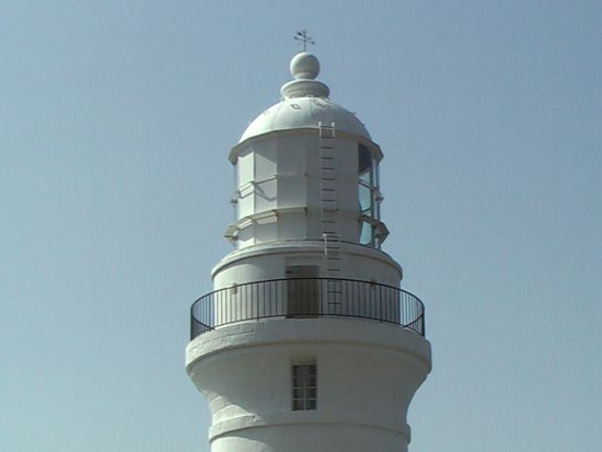 1日島内観光ツアー 屋久島のおすすめスポットを1日で訪れる ＜昼食込＞ by Go!Yakushima