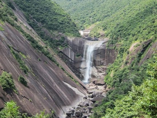 1日島内観光ツアー 屋久島のおすすめスポットを1日で訪れる ＜昼食込＞ by Go!Yakushima