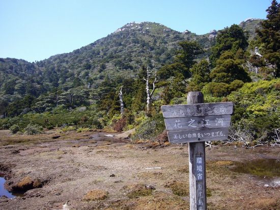 黒味岳日帰りトレッキングツアー　変化に富んだ景色と360度のパノラマビューが広がる登山コース＜昼食付＞ by Go!Yakushima