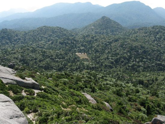 黒味岳日帰りトレッキングツアー　変化に富んだ景色と360度のパノラマビューが広がる登山コース＜昼食付＞ by Go!Yakushima