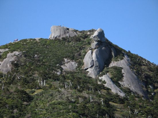 黒味岳日帰りトレッキングツアー　変化に富んだ景色と360度のパノラマビューが広がる登山コース＜昼食付＞ by Go!Yakushima