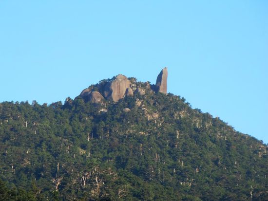 太忠岳日帰りトレッキングツアー　屋久杉の森と頂上にそびえ立つ巨岩の絶景コース＜昼食付＞ by Go!Yakushima