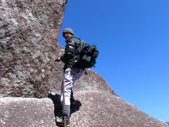 太忠岳日帰りトレッキングツアー　屋久杉の森と頂上にそびえ立つ巨岩の絶景コース＜昼食付＞ by Go!Yakushima