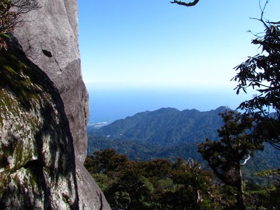 太忠岳日帰りトレッキングツアー　屋久杉の森と頂上にそびえ立つ巨岩の絶景コース＜昼食付＞ by Go!Yakushima