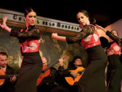 Flamenco Show, Madrid, Spain