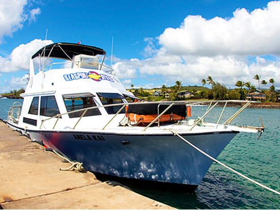 ファンダイビング 経験豊富なダイバー向け！南海岸周辺のサイトへご案内＜ボート／2ダイブ／ポイプ発＞by Seasport Divers