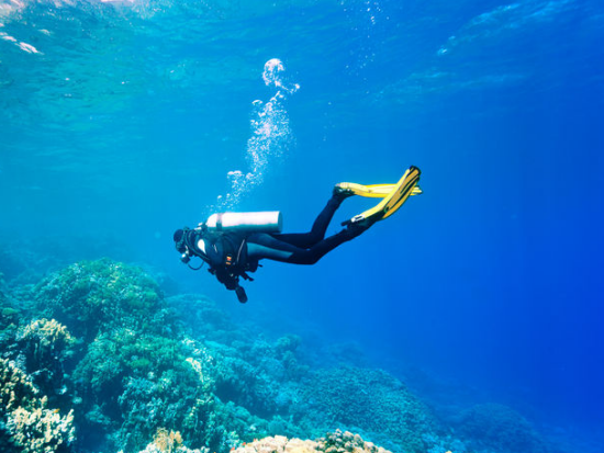 ファンダイビング 経験豊富なダイバー向け！南海岸周辺のサイトへご案内＜ボート／2ダイブ／ポイプ発＞by Seasport Divers