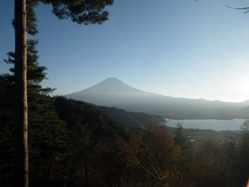 Mt. Fuji seen in the distance from a hiking trail