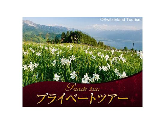 【プライベートツアー】5月15日～31日限定！レマン湖畔の町と「5月の雪」ナルシスの花　レマン湖クルーズ付き＜日本語ガイド／午後／ローザンヌ発＞by[みゅう]