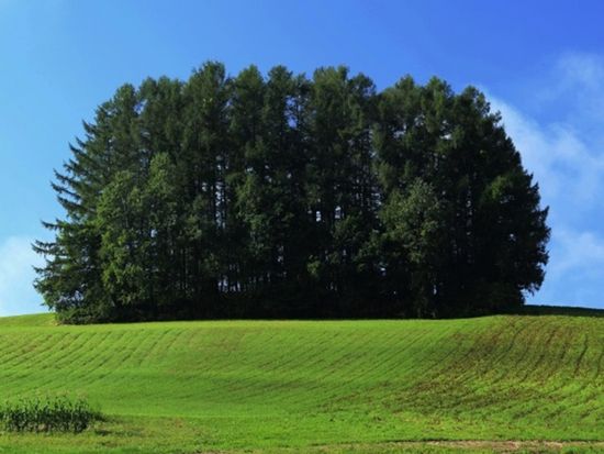 The lovely landscape of Furano