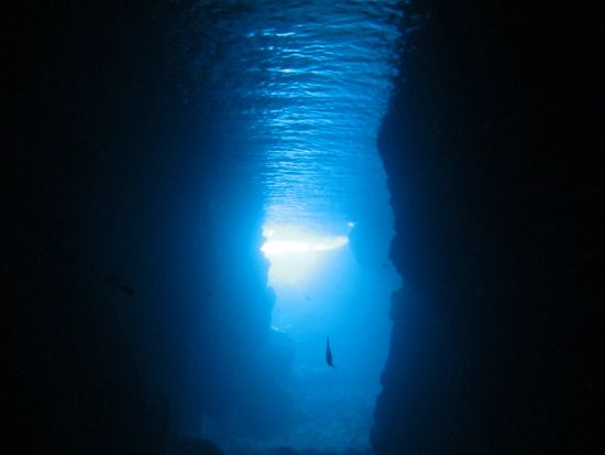 青の洞窟 体験ダイビング　慣れてきたら自由に泳げるのが特徴！＜ボート／ガイド貸切／恩納村発＞