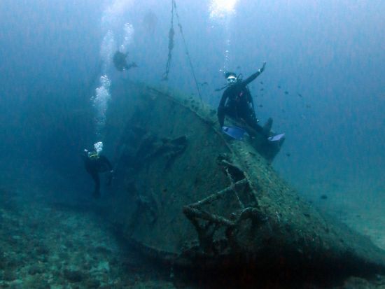 ファンダイビング　ドリームホール・沈船ポイントエモンズなど沖縄本島の名物ポイントへ！2ダイブ～ ＜恩納村発＞  by あいる・ぷまんどぅ