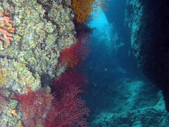 沖縄ダイビングサービス あいる・ぷまんどぅ6