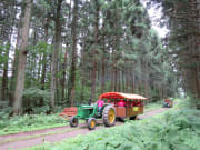 トラクターバスで行く、非公開の森林エリア