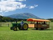 トラクターバスで行く、非公開の森林エリア