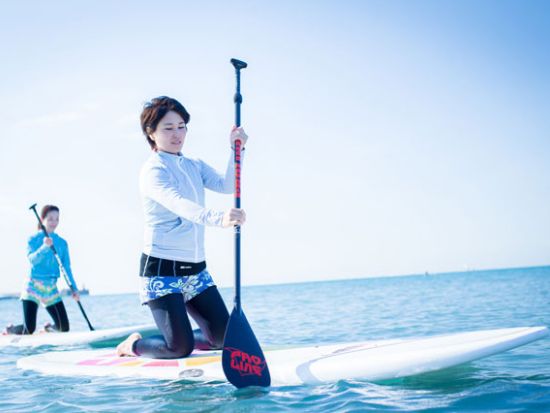 【愛犬連れOK】人気のSUP 体験ツアー 1日1組限定で初心者も安心！大型犬も歓迎＜初心者大歓迎／写真データプレゼント／貸切／半日／逗子＞