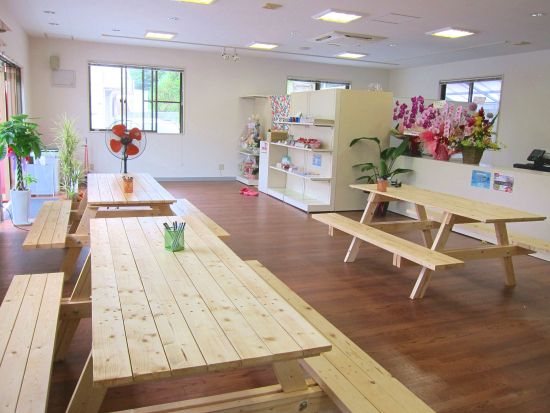 海ピクニック＆シュノーケルツアー 2歳からOK！お子様の海デビュー に最適！エサあげ体験付き＜恩納村＞ by サマーリゾート沖縄