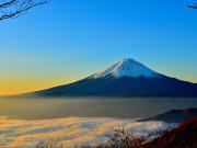 Mt. Fuji rising from the clouds near Tokyo