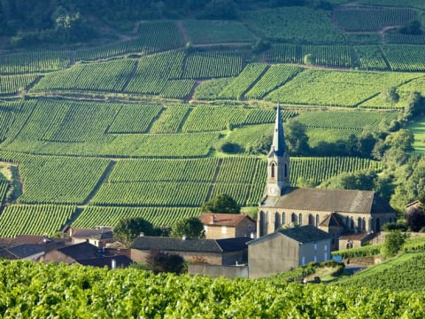 ブルゴーニュ地方のブドウ栽培地域クリマ フランスの世界遺産 フランスの観光 オプショナルツアー専門 Veltra ベルトラ