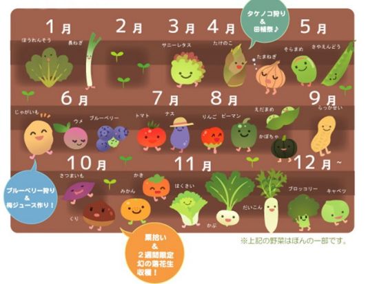 野菜収穫体験　都内より1時間の好アクセス！BBQプランあり＜半日／木更津市＞by森本農園