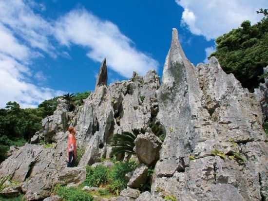 やんばる国立公園バスツアー　ASMUI Spiritual Hikes（旧 大石林山）散策＋沖縄最北端「辺戸岬」をめぐる＜海鮮ランチ付き／那覇発／2歳以下無料＞