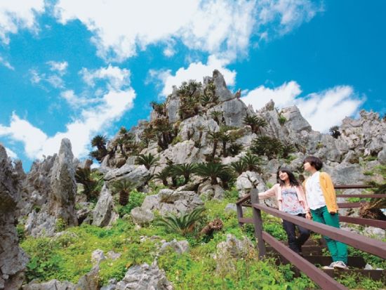 やんばる国立公園バスツアー　ASMUI Spiritual Hikes（旧 大石林山）散策＋沖縄最北端「辺戸岬」をめぐる＜海鮮ランチ付き／那覇発／2歳以下無料＞