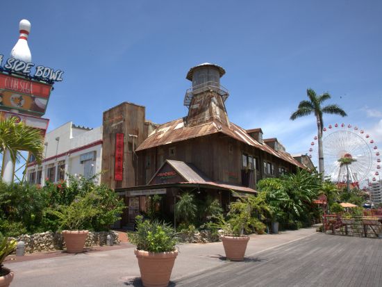 美ら海水族館観光バスツアー 人気のアメリカンビレッジコースとパイナップルパークコースから選べる！人気の観光地を巡る満喫ツアー＜那覇・北谷発／2歳以下無料＞