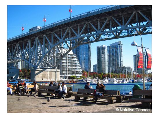 歩いてめぐるバンクーバー半日観光ツアー　地元を知り尽くしたガイドがご案内 ＜市バス＆地下鉄乗車券＆アクアバス乗船付き／日本語ガイド／1名参加OK＞