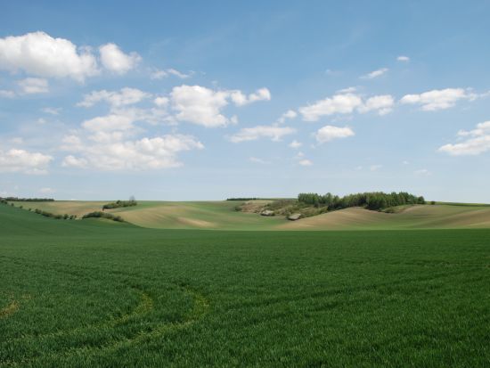 【プライベートツアー】ウィーン発プラハ着　モラヴィア大草原＆巡礼地ミクロフを訪ねる癒しの日帰り旅＜4月～10月／英語＞