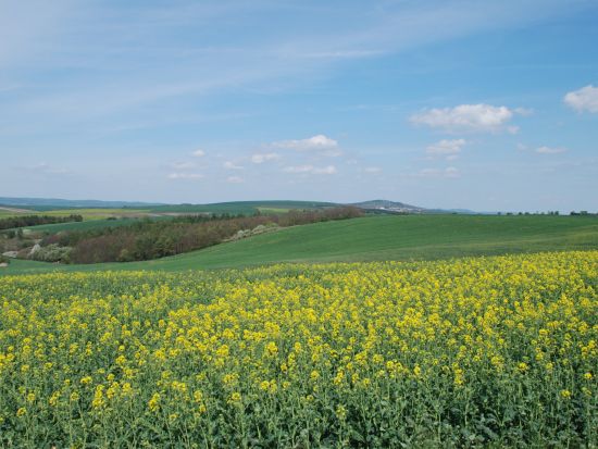 【プライベートツアー】ウィーン発プラハ着　モラヴィア大草原＆巡礼地ミクロフを訪ねる癒しの日帰り旅＜4月～10月／英語＞