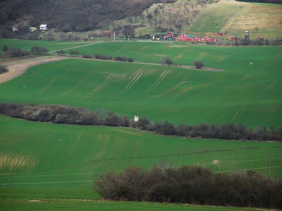 【プライベートツアー】ウィーン発プラハ着　モラヴィア大草原＆巡礼地ミクロフを訪ねる癒しの日帰り旅＜4月～10月／英語＞