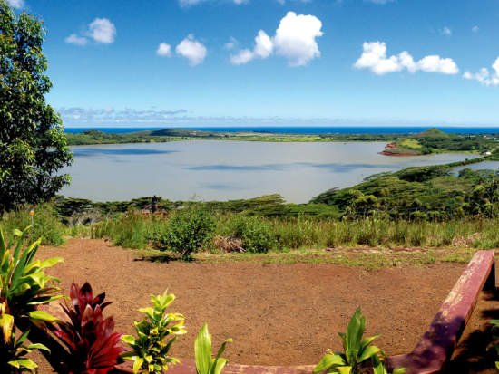 カウアイ島 ジップライン8本　ユニークなハーネスをつけてジップラインに挑戦！＜英語インストラクター＞