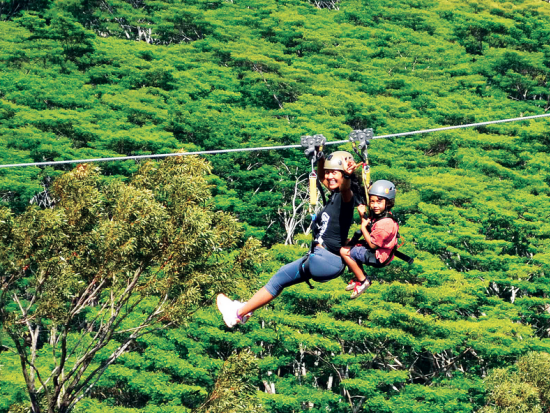 カウアイ島 ジップライン8本　ユニークなハーネスをつけてジップラインに挑戦！＜英語インストラクター＞