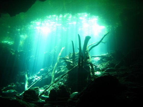 絶景セノーテでファンダイビング！選べる行先 ドス・オホスorチャックモール＆ククルカン＜貸切／昼食／日本人インストラクター／2ダイブ／カンクン発＞