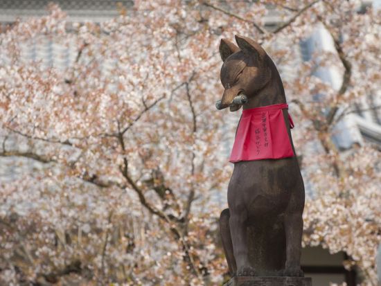 日帰りバスツアー 伏見稲荷大社＋清水寺＋金閣寺＋嵐山 定番観光地を1日で巡る！昼食付プランあり＜梅田・京都発／英語・日本語＞by 神姫観光 LIMON