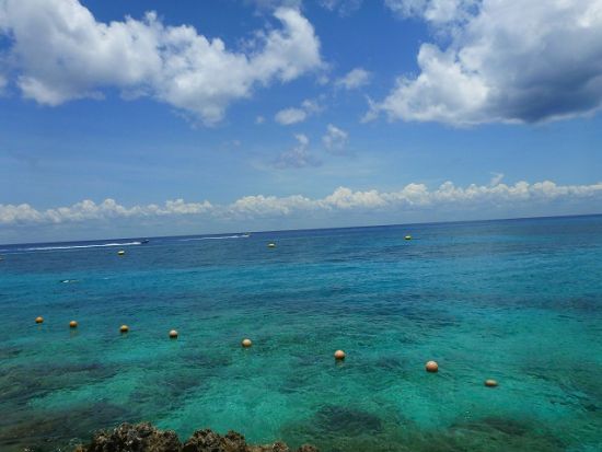 体験ダイビング  コスメル島チャンカナブ国立公園 島散策の時間あり＜貸切／ビーチ／1ダイブ／カンクン発＞by クイーンエンジェル