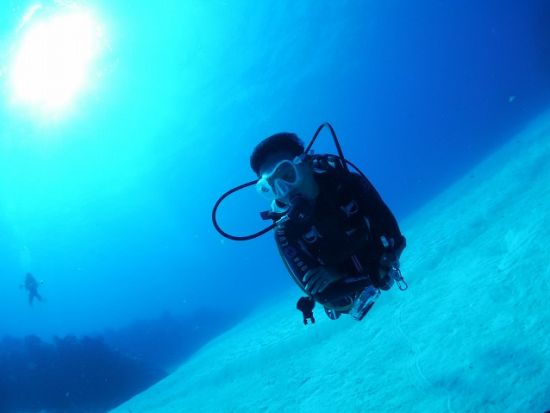 ファンダイビング カンクン発日帰り ダイバー憧れのコスメル島 豊富なカリブ海固有種と世界屈指の透明度＜貸切／ボート／2ダイブ／水中写真プレゼント＞