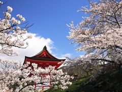 【多言語バスツアー】金閣寺＋銀閣寺＋清水寺 半日バスツアー 京都の世界遺産3ヶ所めぐり＜英・中・韓音声ガイド／京都駅発＞by おこしバス（京都定期観光バス）の写真