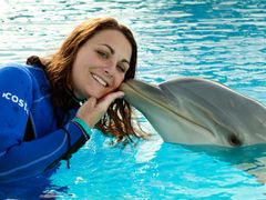 542226_3_SwimmingWithDolphins1